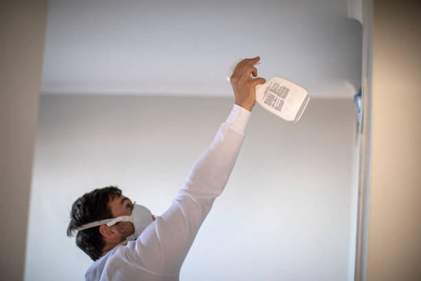 Best White Mold Remediation in Las Campanas, NM